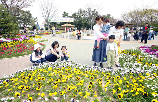 봄꽃 축제로 봄 향기 가득