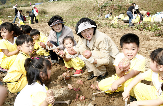 제가 가꾼 고구마, 맛 좀 보실래요?