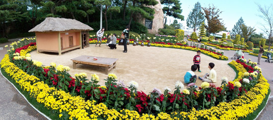 국화와 함께하는 가을 축제