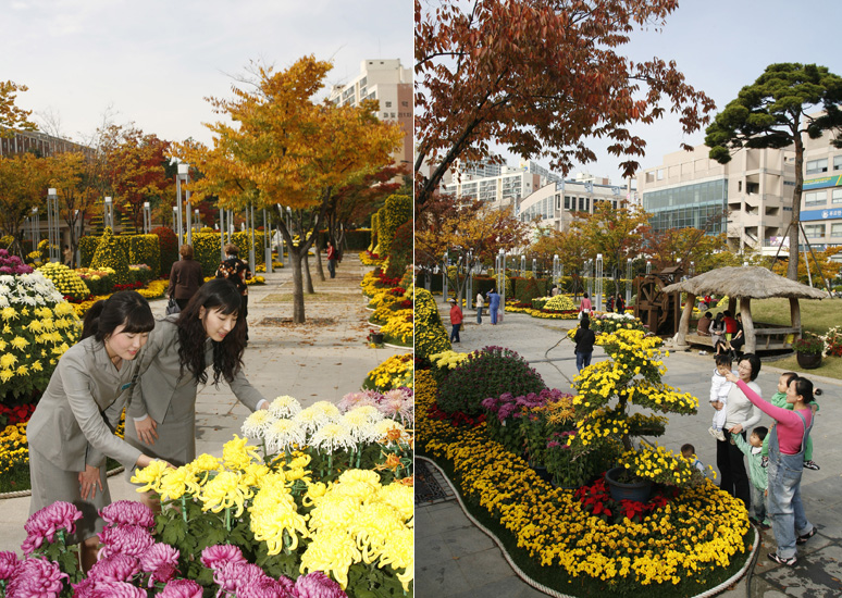 울산 동구, 가을 향기로 가득