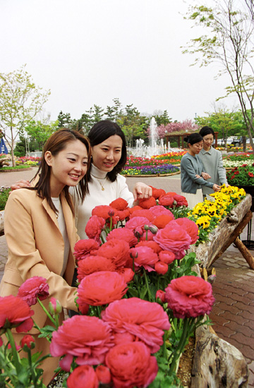 사 진: 4월 한 달간 마련하고 있는 봄꽃 전시회, 야생화, 도입종 등 4만여본이 선보인다.
