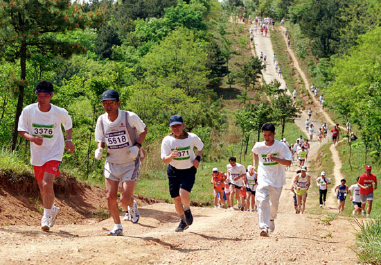 사 진 : 지난 해 산악마라톤대회