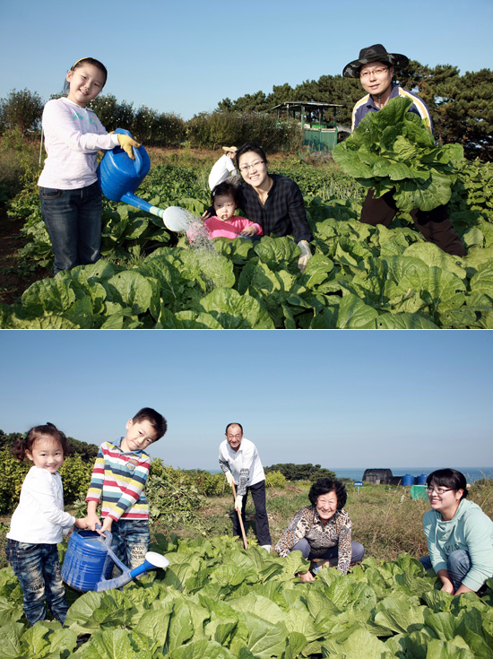 배추값 폭등? 저흰 상관없어요! 
